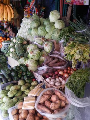 벵게트주는 필리핀에서 고산 채소의 주요 생산지이다.