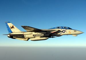 VF-213 소속 F-14D(R)가 이라크 상공을 비행하며, 우현 날개 글러브 스테이션에 LANTIRN 포드를 장착하고 동체 아래에 레이저 유도 폭탄을 장착했다.