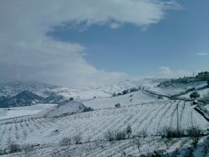 2012년 겨울, 눈 덮인 메데아