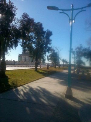 비스크라 대학교 안의 거리