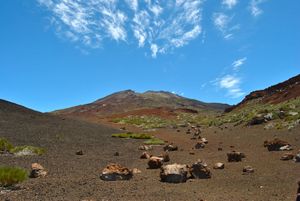 카나리아 제도에서 두 번째로 높은 봉우리인 비에호 봉