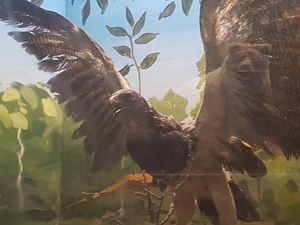 Parque de las Leyendas 동물원에서 박제된 표본