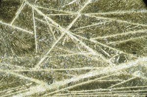 현미경 사진으로 본 코마티아이트의 얇은 단면으로, 바늘 모양의 휘석 결정이 스피니펙스 조직을 나타낸다.