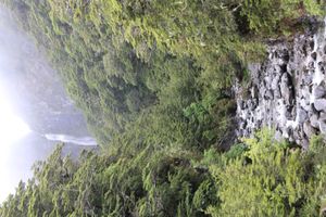 데블스 펀치볼 폭포