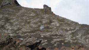 2007년의 관측소