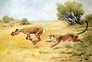 찰스 R. 나이트가 그린 디닉티스와 프로토케라스의 복원도