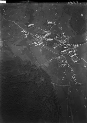 발터 미텔홀저가 촬영한 해발 1000m 상공의 항공 사진 (1919)