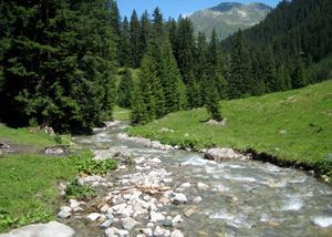 클로스터스와 다보스 라렛 사이의 시냇물 Stützbach