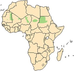 아닥스의 2008년 분포