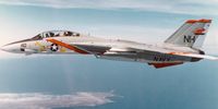 VF-114 아드바크의 F-14 톰캣기로, 부대 마스코트가 꼬리에 그려져 있다.