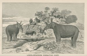 1873년 에드워드 코프의 공포목 Loxolophodon 복원도