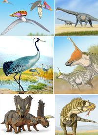조류 발목류의 예시. 시계 방향으로 (왼쪽 상단부터): Tupuxuara leonardi (익룡), Alamosaurus sanjuanensis (용각류), Tsintaosaurus spinorhinus (조각류), Daspletosaurus torosus (티라노사우루스), Pentaceratops sternbergii (각룡류), Grus grus (신조류).
