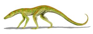 테레스트리수쿠스(Terrestrisuchus)