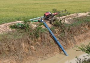 12마력 2륜 트랙터로 구동되는 태국 모델 8인치 × 20피트 길이의 축류 펌프가 플라스틱 유연 공급 파이프를 통해 관개수로에서 인근 논으로 물을 퍼올리는 모습