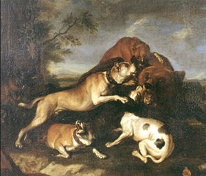 마스티프가 최소 한 마리 포함된 1650년경 아브라함 혼디우스의 곰 몰이 그림