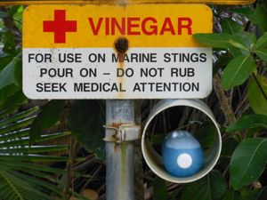 호주 퀸즐랜드의 식초통