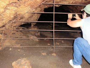 Cuevas de Paraguaná 야생동물 보호구역의 동굴 입구