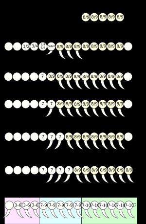 진화 발달 생물학에서 추적된, 서로 다른 절지동물 그룹의 체절에서 Hox 유전자의 발현. Hox 유전자 7, 8, 9는 이 그룹에서 상응하지만 최대 세 개의 체절까지 이시성에 의해 이동된다. 협각이 있는 체절은 Hox 유전자 7을 갖는다. 화석 삼엽충은 아마도 세 개의 몸체 영역을 가지고 있었고, 각 영역은 Hox 유전자의 고유한 조합을 가지고 있었다.