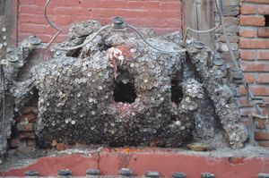 "치통 나무", 바이샤 데브 사당, 카트만두, 네팔.