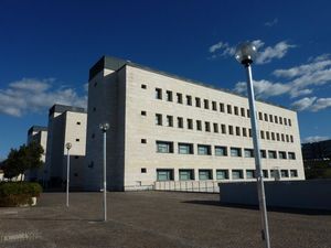 키에티 스칼로의 대학교