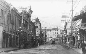 1900년경 오크 가