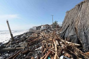 콜리마 주의 허리케인 퍼트리샤 피해