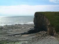 Nash Point