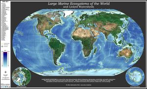 대형 해양 생태계의 세계 지도. 해양학자와 생물학자들은 전 세계적으로 66개의 LME를 확인했습니다.