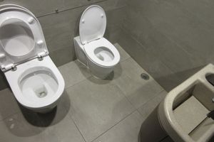 홍콩 튜먼 캐슬 피크 로드, 핸포드 가든 플라자의 가족 화장실 내부. 작은 변기는 어린이를 위한 것이다.