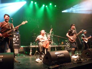 Nine Treasures가 WOMEX 15, 부다페스트에서 공연하고 있다