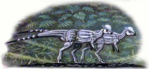 쌍을 이루는 S. buchholtzae 복원도