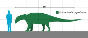 사람과 에드몬토니아의 크기 비교