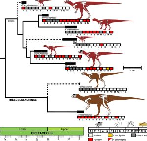 땅을 파는 것과 관련된 형질의 테스켈로사우루스과(Thescelosauridae) 내 분포