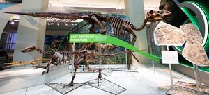 테스켈로사우루스와 백악기 말 북아메리카에서 공존했던 다른 동물과 식물들, 스미소니언