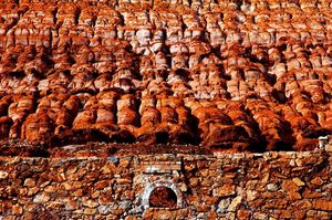 붉은색 바위의 넓은 지대