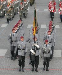독일 연방군의 군기. 기수 및 유도 장교 이하 30명은 연방 육군 제26공수여단 제261강하엽병대대 소속의 강하엽병이다.