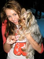 마일리 사이러스는 텔레비전 시리즈 한나 몬타나에서 주인공을 연기했다.