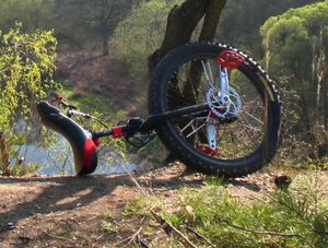 디스크 브레이크가 장착된 머니