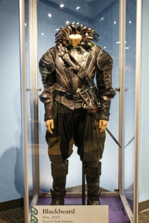 2015년 인디애나폴리스 어린이 박물관에 전시된 휴 잭맨의 검은 수염 의상