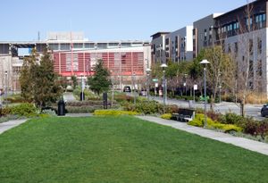 베이 메도우즈의 랜딩 그린