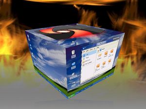 EeePC에서 wNOP v0.2: Puppy 3.01 & Compiz-Fusion