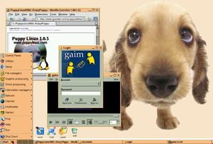 Capture puppy linux jwm