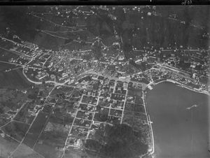 발터 미텔홀저가 촬영한 800m 상공에서의 항공 사진 (1919)