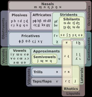 오일러 다이어그램은 소리(IPA)의 전형적인 분류와 그 조음 방법 및 변별적 자질을 보여준다.