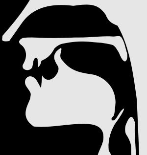 도식적 정중 시상 단면