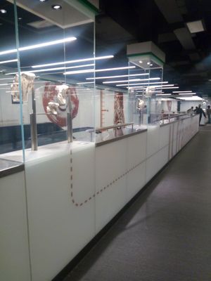 산 조반니 역 내부의 고고학적 발견