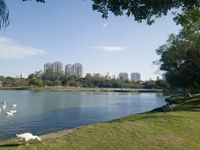 일본 이민 100주년 기념 공원