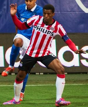 2014년 PSV에서 뛰는 베이날둠