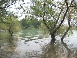 몬순 시기의 탄다 호수