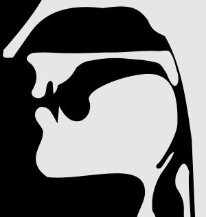 무성 구개수 파열음